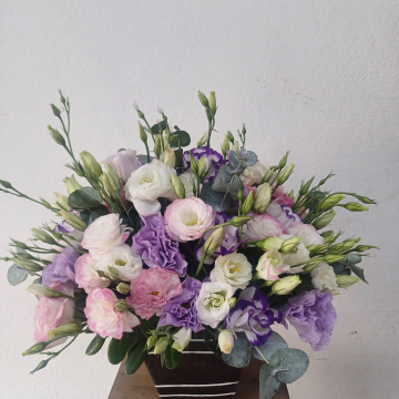 LISIANTHUS REDONDO