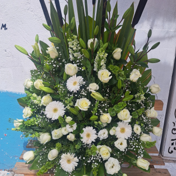 MONUMENTAL FUNEBRE
