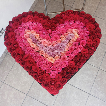CORAZON JUMBO