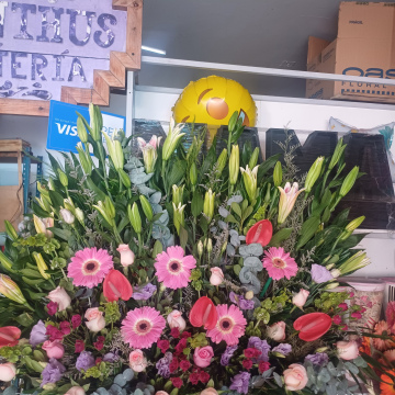 LINDA SORPRESA